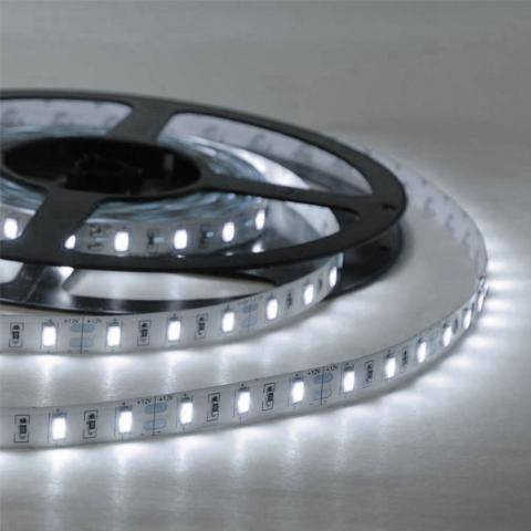 Ταινία LED 12V 4,8W/m 6400K IP20 5m